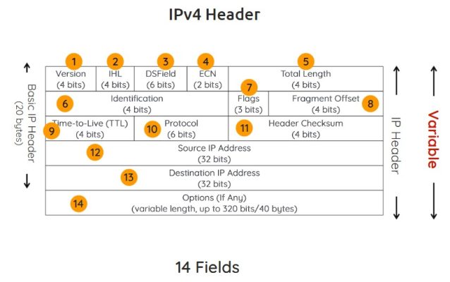 IPv4 Header