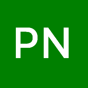 Photo de Profil de Paulinho Nam Embana