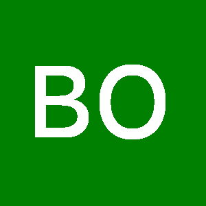 Photo de Profil de Billel Ouarezki