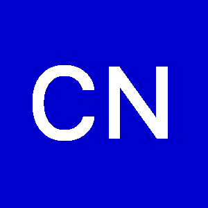 Photo de Profil de Christian Patrick Ngong
