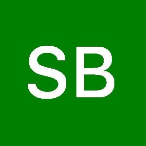 Photo de Profil de Samir BENZIANE
