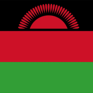 Logo du groupe 2023 | IPv6 Silver Certification Event | Lilongwe Malawi
