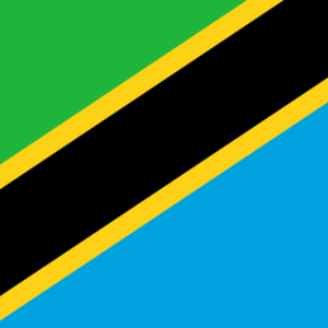 Logo du groupe 2023 | IPv6 Silver Certification Event | Dar es Salaam