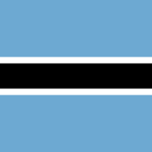 Logo du groupe 2025 | Botswana IPv6 Silver & Gold Certification