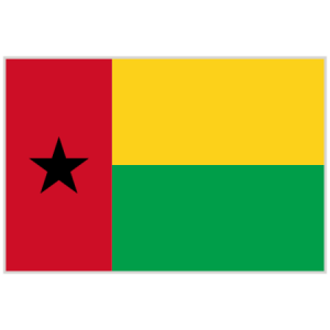 Logo du groupe 2025 | Guinea Bissau IPv6 Silver Certification
