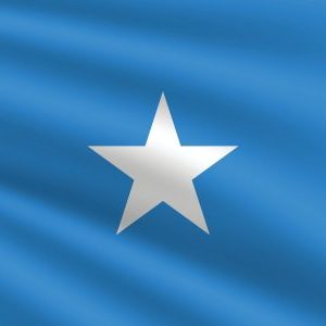 Logo du groupe 2026 | Dalkom Somalia Silver Certification