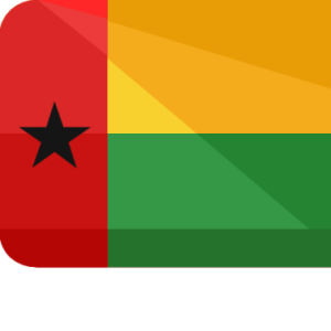 Logo du groupe 2026 | Guinea Bissau Silver Certification Event